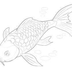 Koi Fish - Printable Coloring page