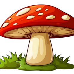 Mushroom - Origin image