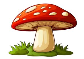 Mushroom Coloring Page 2Original image
