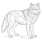 Wolf Coloring Page