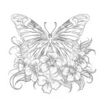 Adult Butterfly Coloring Pages