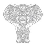 Coloriage Pour Adultes Éléphant