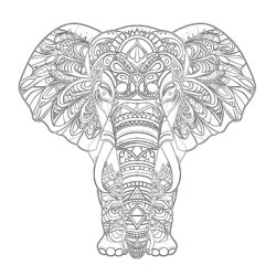 Adult Coloring Elephant - Printable Coloring page