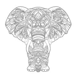 Coloriage Pour Adultes Éléphant - Page de coloriage imprimable
