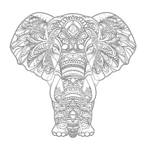 Adult Coloring Elephant