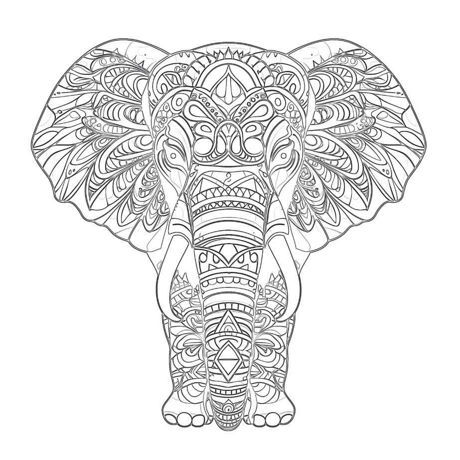 Adult Coloring Elephant