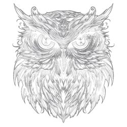 Adult Coloring Owl - Printable Coloring page
