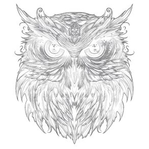 Adult Coloring Owl