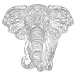 Adult Coloring Page Elephant