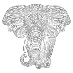 Adult Coloring Page Elephant - Printable Coloring page