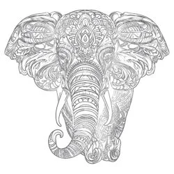 Página Para Colorear de Adultos Elefante - Página para colorear