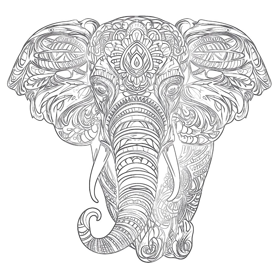 Adult Coloring Page Elephant