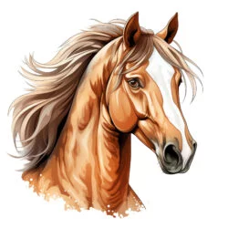 Erwachsene Ausmalbilder Pferd - Ursprüngliches Bild