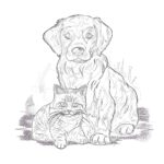 Page de Coloriage Sur Les Chats et Les Chiens