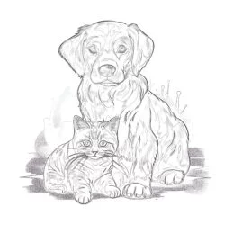 Cat and Dog Coloring Page - Printable Coloring page