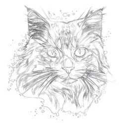Cat Coloring Page Realistic - Printable Coloring page