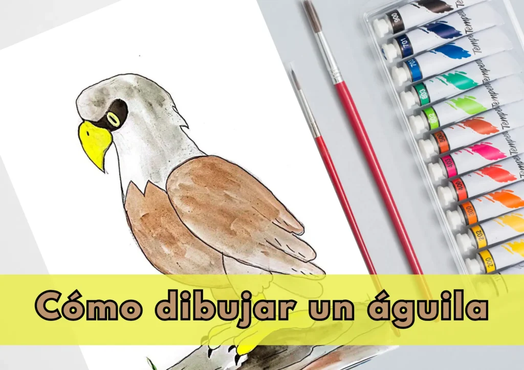 Cómo Dibujar un Águila