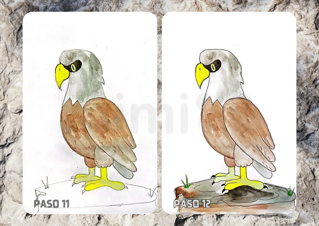 Cómo Dibujar un Águila Paso 11 12