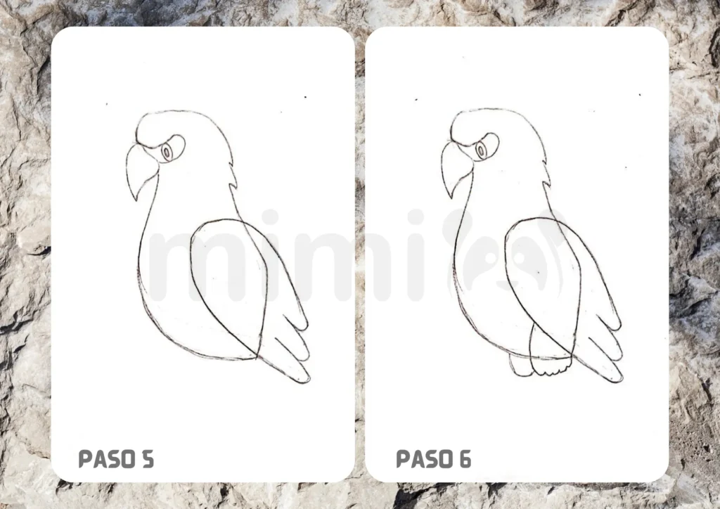 Cómo Dibujar un Águila Paso 5 6