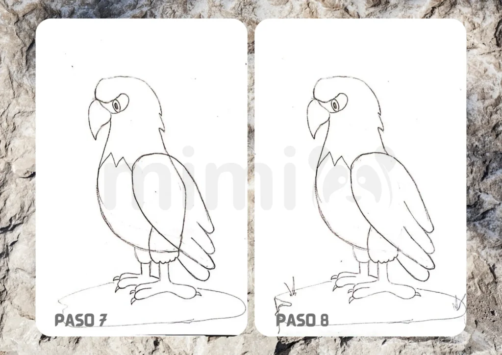 Cómo Dibujar un Águila Paso 7 8