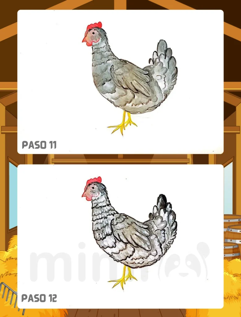 Cómo Dibujar un Pollo Paso 11 12