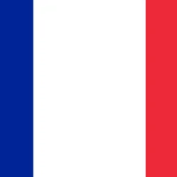 France Flag - Origin image