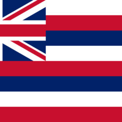Hawaii Flag - Origin image