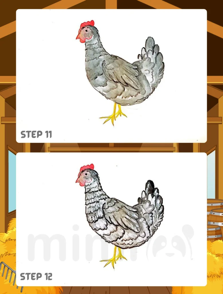 How to Draw a Chicken Step 11 12