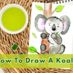 How To Draw A Koala