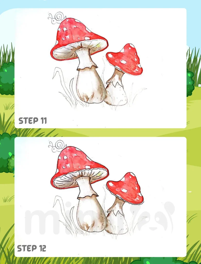 How to Draw A Mushroom Step 11 12
