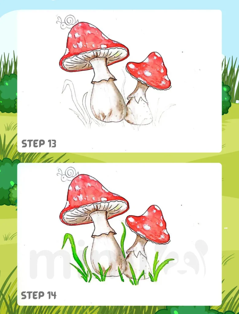 How to Draw A Mushroom Step 13 14