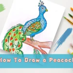 How To Draw a Peacock