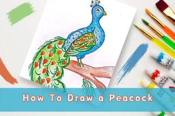 How To Draw a Peacock: Unleash the Majesty with Your Artistic Strokes