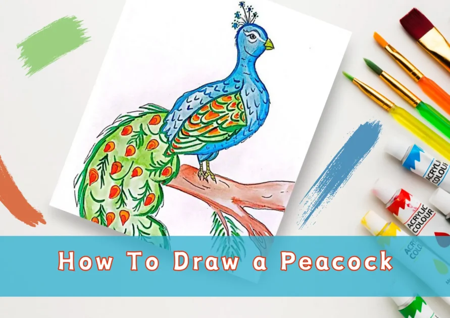 Peacock Drawing Color at GetDrawings — Steemit