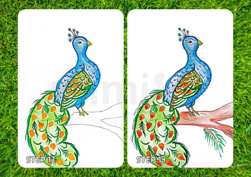 How To Draw a Peacock Step 13 14