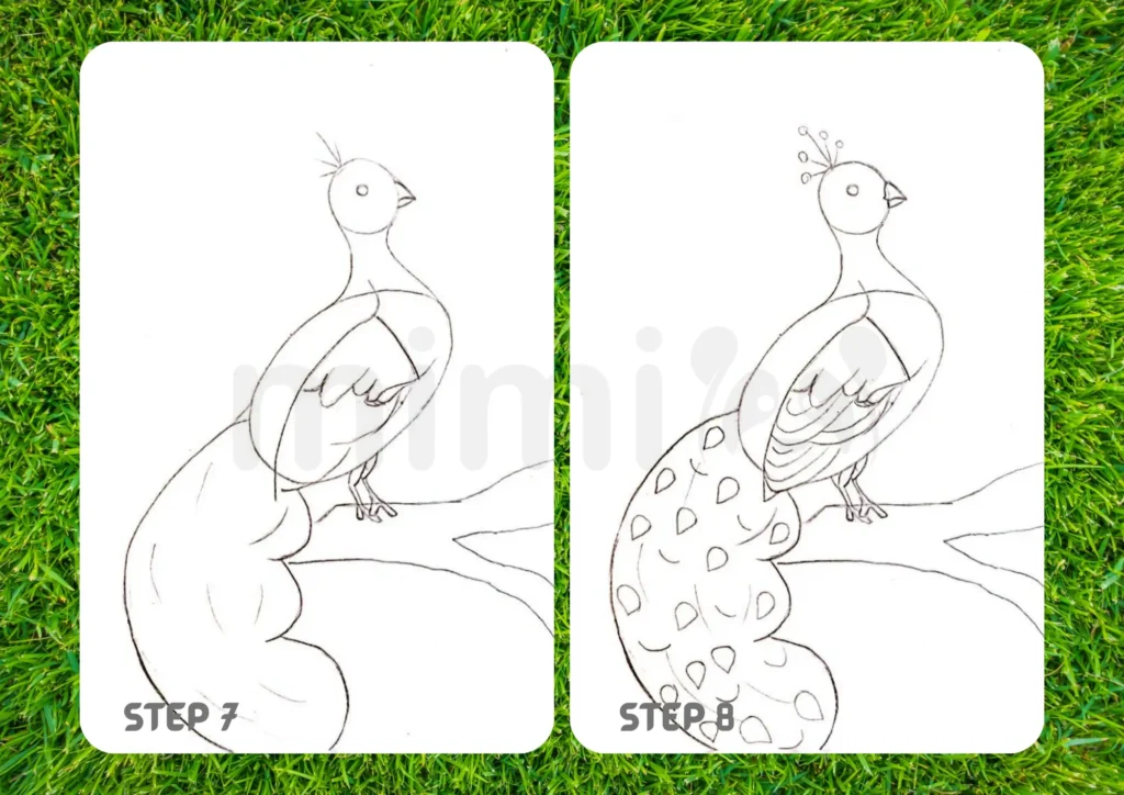 How To Draw a Peacock Step 7 8