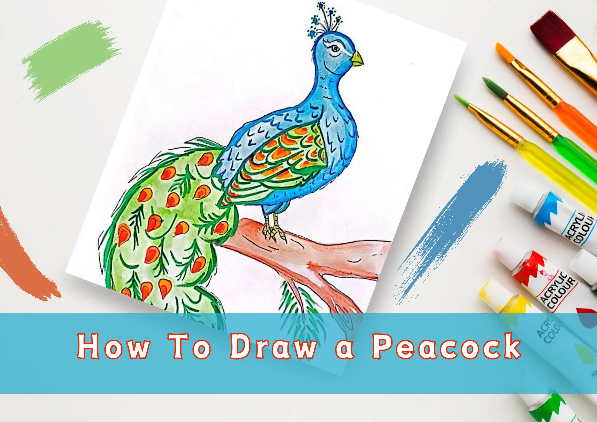 Simple Colorful Peacock Drawing - Peacock Pictures For Drawing - Free  Transparent PNG Clipart Images Download