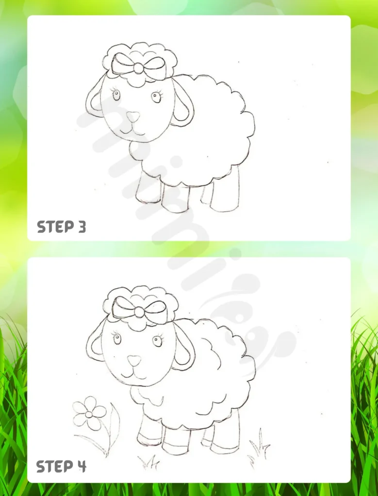 How to Draw a Sheep Step 3 4