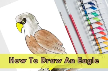 How To Draw An Eagle: Unleashing Majestic Drawings with Easy Steps