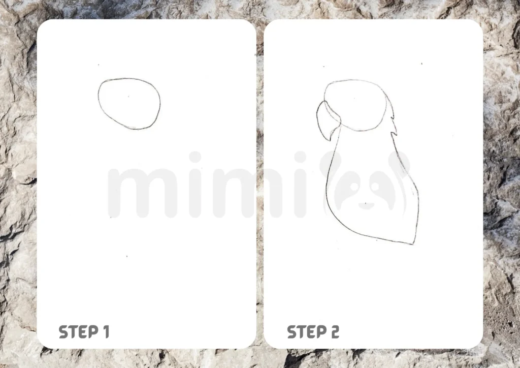 How To Draw An Eagle Step 1 2