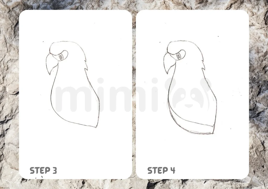 How To Draw An Eagle Step 3 4