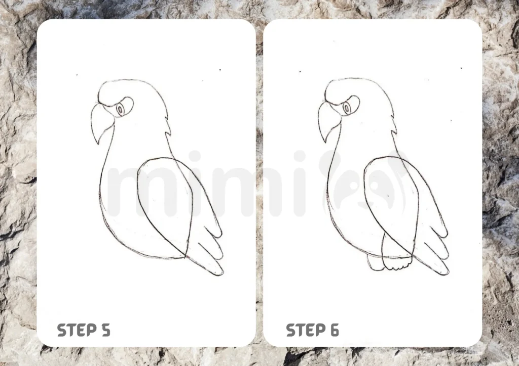 How To Draw An Eagle Step 5 6