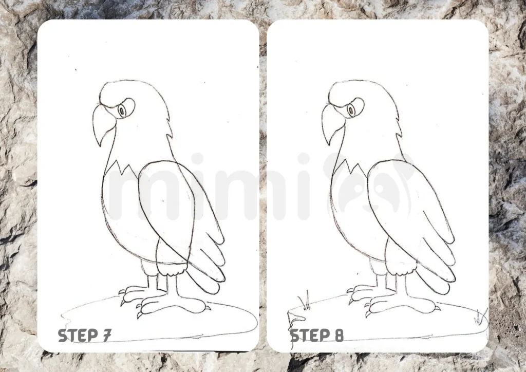 How To Draw An Eagle Step 7 8