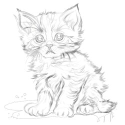 Realistic Kitten - Printable Coloring page