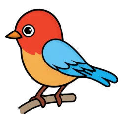 Páginas Para Colorear De Pájaros Para Preescolares - Imagen de origen