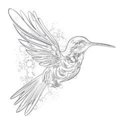 Coloring Page Hummingbird - Printable Coloring page