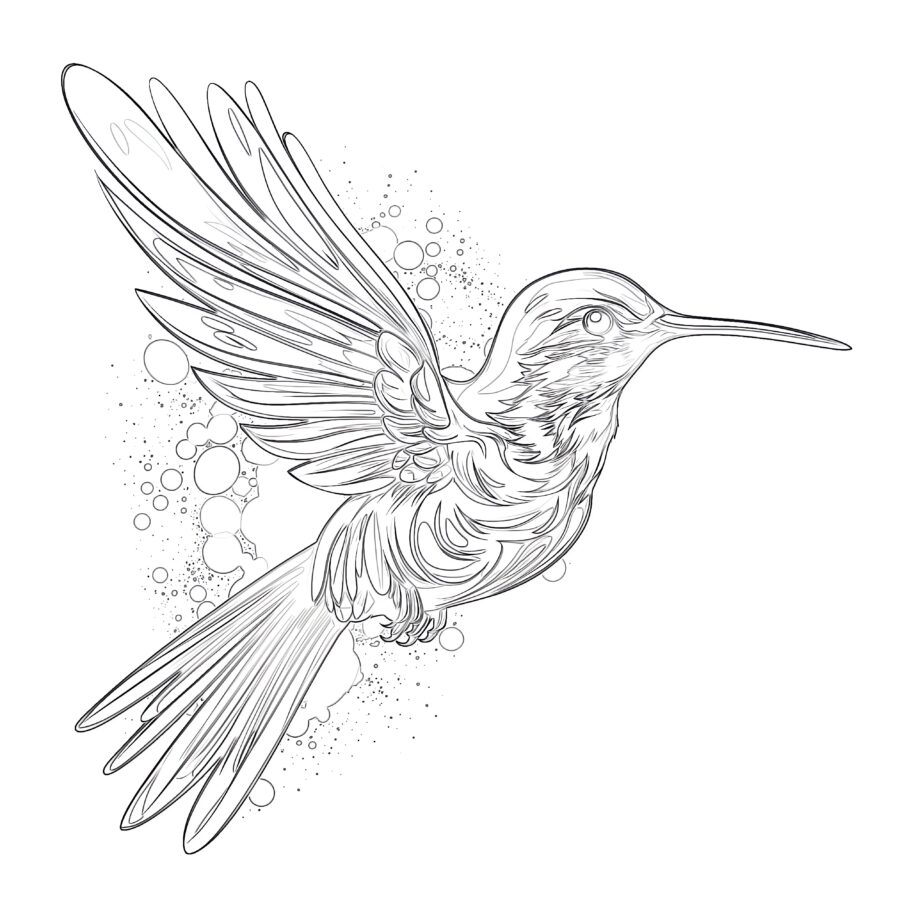 Coloring Page Hummingbird