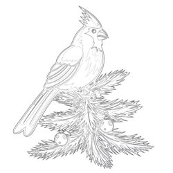 Coloring Page Of a Cardinal - Printable Coloring page