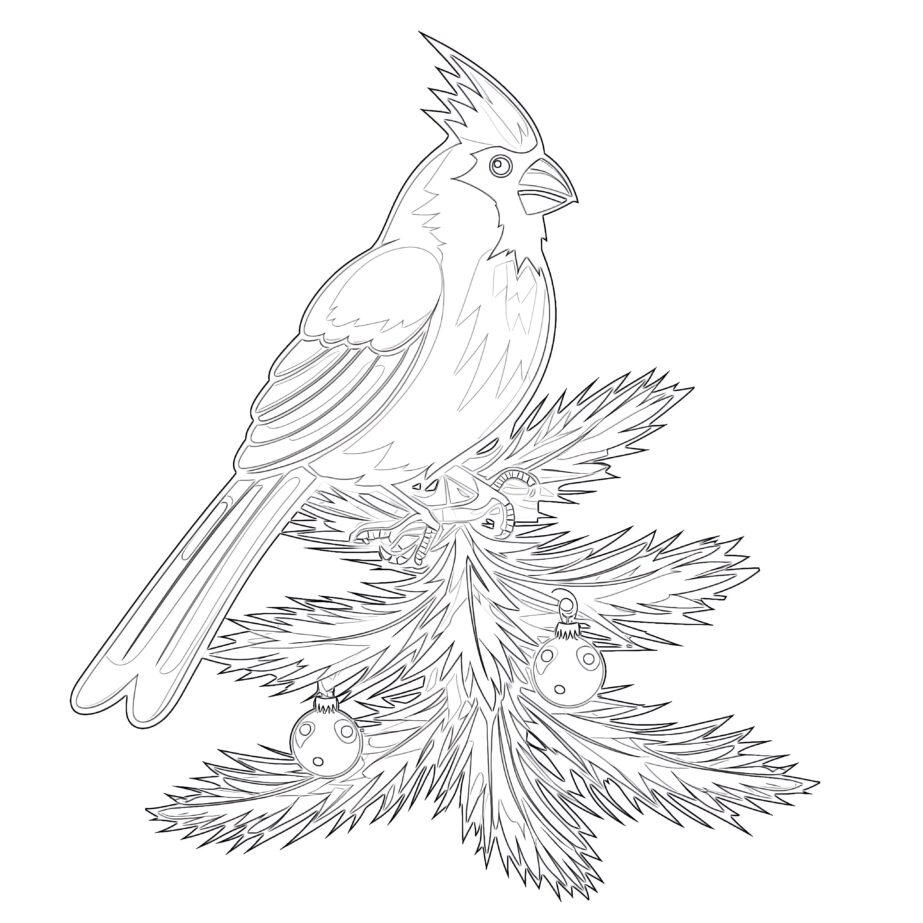 Coloring Page Of a Cardinal