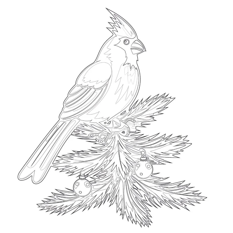 Page à Colorier D’un Cardinal